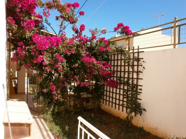 TheRealtyAgency-Lagonisi-back garden right side