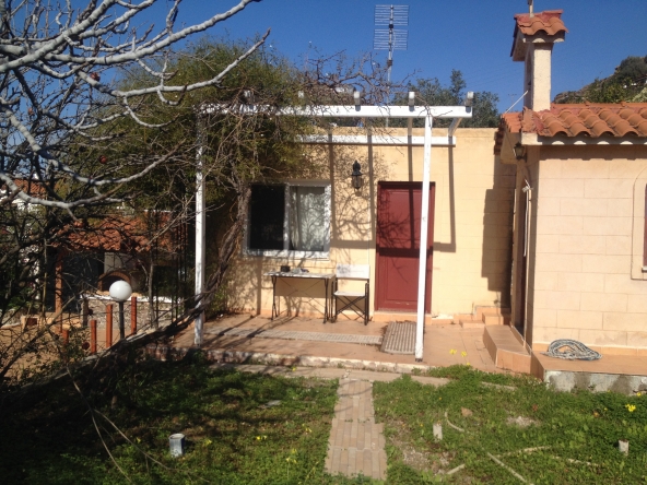 therealtyagency-aigina-backyard-2