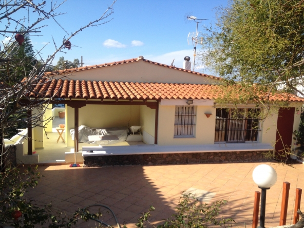therealtyagency-aigina-backyard