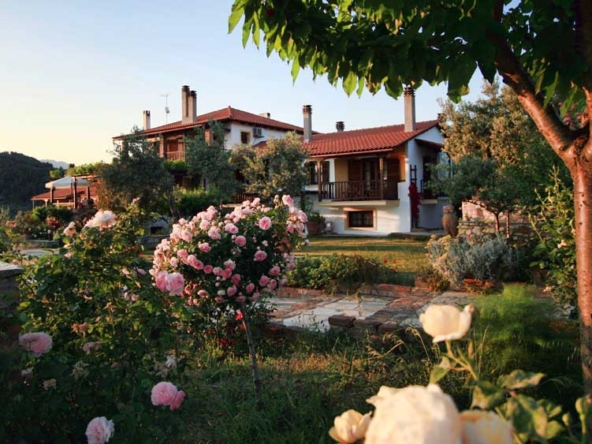 vateri-home-slide7